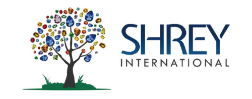 Shrey International